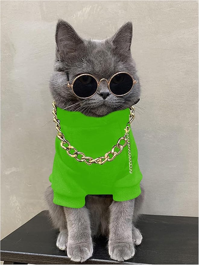 QWINEE 3Pcs Dog Hoodie Cat Apparel Dog Custume Set with Necklace and Sunglasses Pet Clothes for Puppy Small Medium Dogs Cats Green Medium