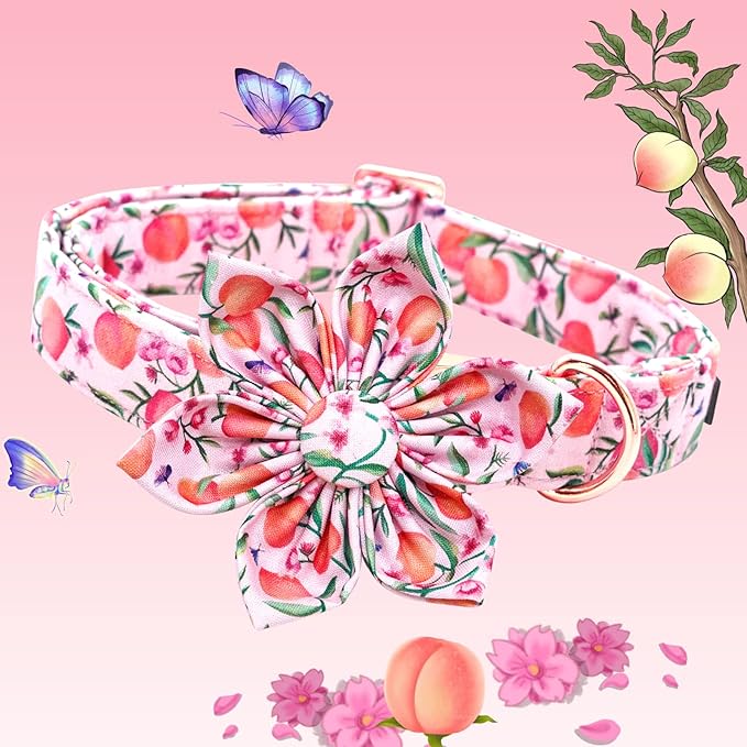 Lionheart glory Dog Collar with Flower Pink Peach Dog Collar Girl Soft Durable Adjustable Collar Bows Spring Collar Dog Flower for Large Dogs
