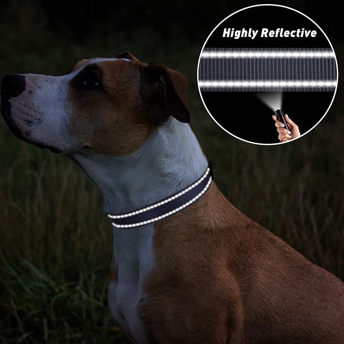 TagME Reflective Nylon Dog Collars, Adjustable Classic Pet Collar with Quick Release Buckle for Large Dogs, Grey, 1.0" Width