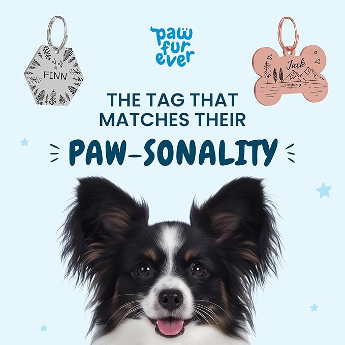 PawFurEver Custom Engraved Pet ID Tag – Personalized Dog Name Tag for Dogs and Cats, Stainless Steel Collar Accessory with Cute Designs for pet Name Tags (Hexagon, Gold)