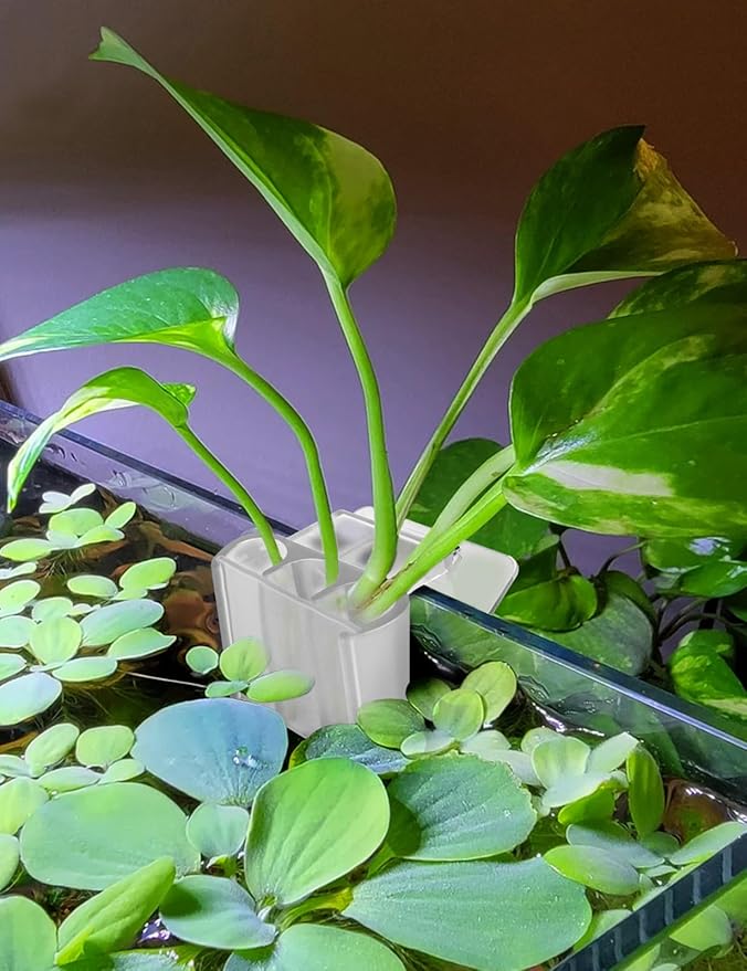 2 Pk Upgraded Aquarium Plant Holder, 3-Hole Hanging Aquarium Plant Holder with Clip, Suitable for Fish Tank Plant Potting, Aquarium Decoration, White