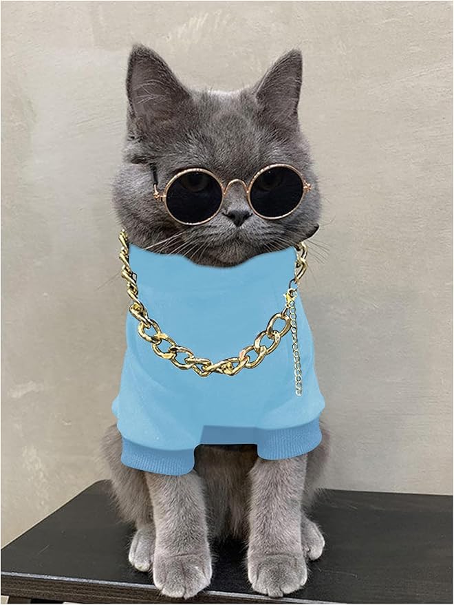 QWINEE 3Pcs Dog Hoodie Cat Apparel Dog Custume Set with Necklace and Sunglasses Pet Clothes for Puppy Small Medium Dogs Cats Light Blue XX-Small