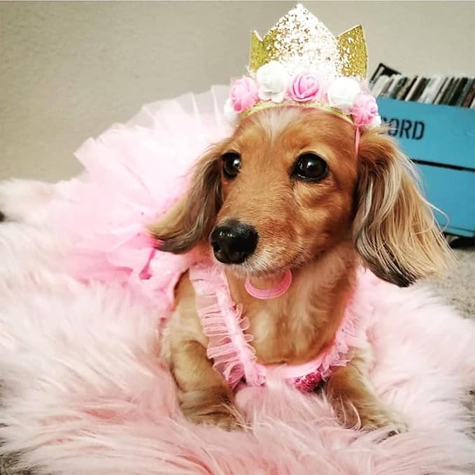 Dog Birthday Crown Hat - Reusable Party Crown with 0-9 Figures Charms for Dogs & Cats - Gold