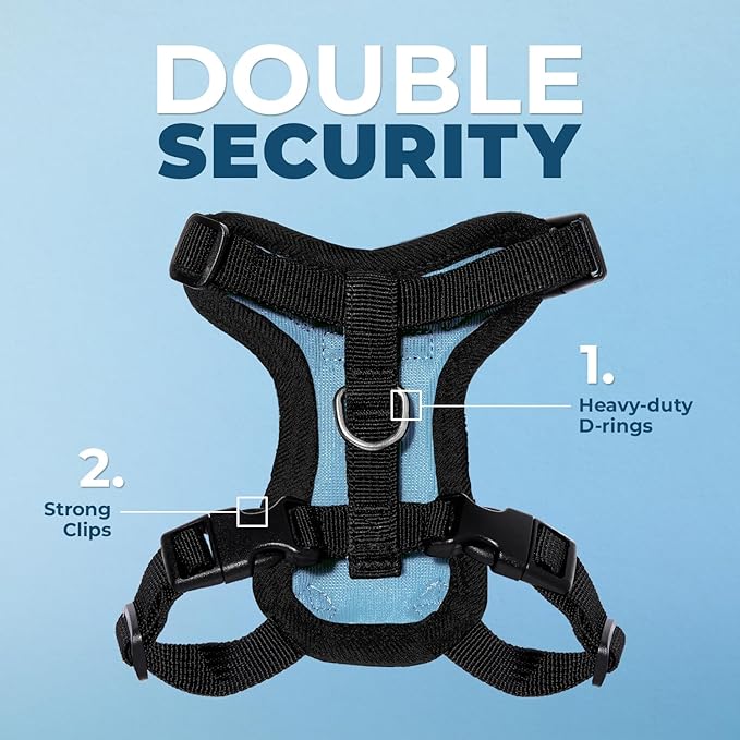 Voyager Escape-Proof Step-in Lock Cat Harness & 5ft Neoprene-Handle Leash Set All-Weather Mesh with Reflective Stitching for Small to Large Cats by Best Pet Supplies, Baby Blue/Black Trim, S