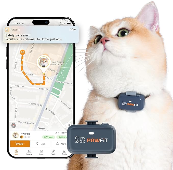 Pawfit Lite for Cats 4g GPS Tracker | Ultra-Small (<18g) Design | Real-Time Tracking | Activity Monitoring | Location History | Unlimited Range | Safety Collar Included | Charcoal Grey