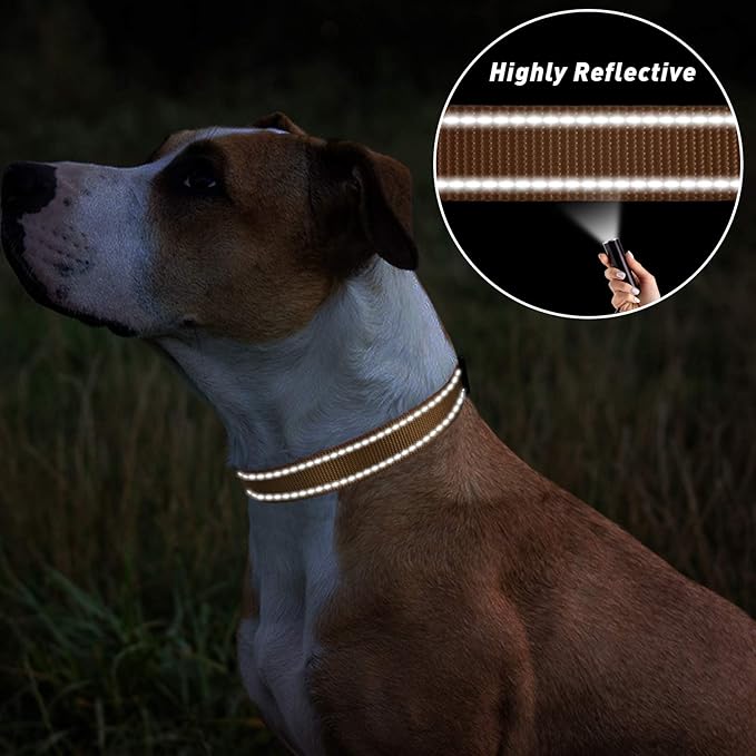 TagME Reflective Nylon Dog Collars, Adjustable Classic Collar with Quick Release Buckle for Large Dogs, Khaki, 1.0" Width
