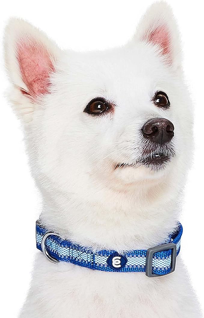 Blueberry Pet Small Dog Collar in Reflective Navy Blue | Adjustable Nylon Strap for Night Walking | Durable & Safe Puppy Training Collar