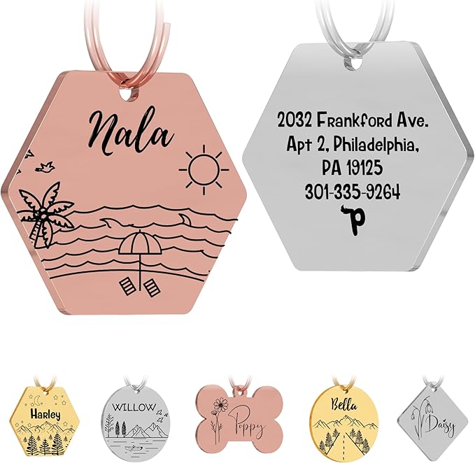 PawFurEver Custom Engraved Pet ID Tag – Personalized Dog Name Tag for Dogs and Cats, Stainless Steel Collar Accessory with Cute Designs for pet Name Tags (Hexagon, Rose)