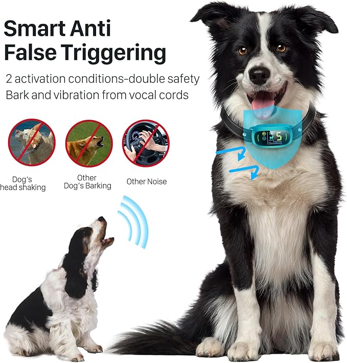 Dog Bark Collar for Large Medium Small Dogs, Rechargeable Smart Bark Collar, Anti Barking Training Collar with 5 Adjustable Sensitivity Beep Vibration (Teal)