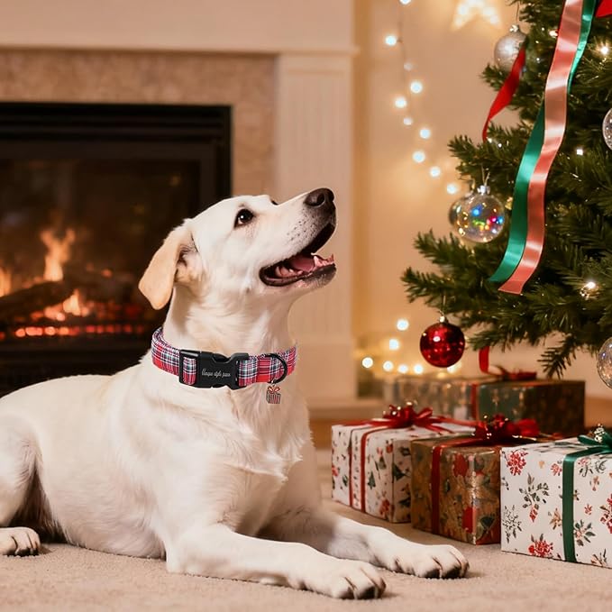 Christmas Dog Collar, Unique Style Paws Red Green Grids Dog Collar for Christmas Comfortable Red Pet Collar with Lightweight Plastic Buckle for Holiday, Fancy Dog Gift