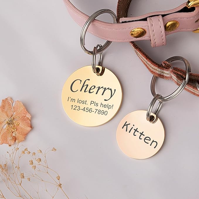 Anavia Personalized Pet ID Tags, Stainless Steel Glossy Laser Engraved Dog Cat Collar Name Tags, Multiple Colors Shapes Sizes (Round, Regular)