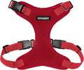 Voyager Step-in Pet Harness - All Weather Mesh, Adjustable Step in Harness for Cats and Dogs by Best Pet Supplies - Red, XS