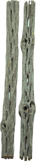 Natural Cholla Wood for Aquarium Decoration Shrimp and Fish Tank (10 Inch (2 Pack))