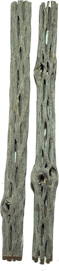 Natural Cholla Wood for Aquarium Decoration Shrimp and Fish Tank (10 Inch (2 Pack))