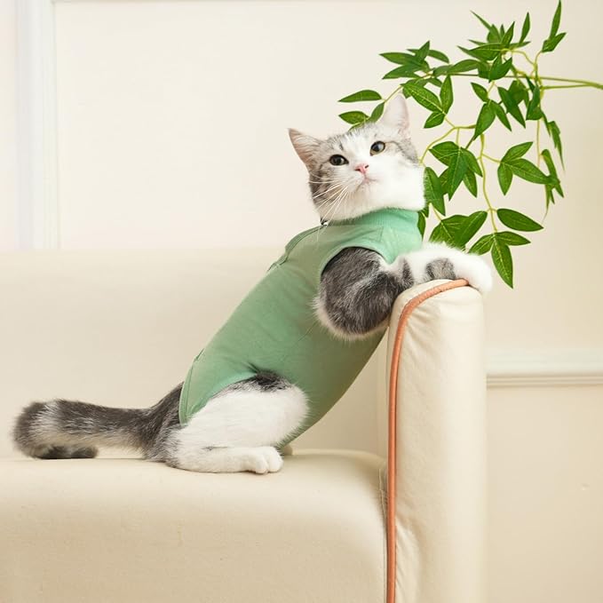 Cat Recovery Suit Cat Onesie for Cats After Surgery Female Male Spay Kitten Neuter Surgical Bodysuit Post Surgery Cone of Shame Alternative Anti Licking (Green, Large)