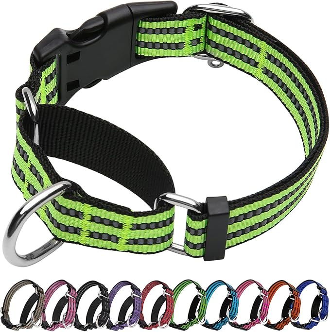 Martingale Dog Collar, Adjustable Nylon Reflective Collar with Buckle No Pull Dog Collar for Small Medium Large Dogs (Lime Green Large)