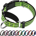 Martingale Dog Collar, Adjustable Nylon Reflective Collar with Buckle No Pull Dog Collar for Small Medium Large Dogs (Lime Green Large)