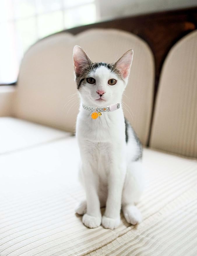 Cat Collar Breakaway with Bells,3 Pack Safety Adjustable Pet Collars,Ideal for Girl Boy Kittens. (Pink Green Yellow Star)