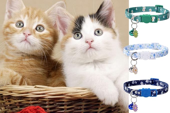 10PC Floral Cat Collar Set with Bells - Breakaway Safety for Kittens and Small Cats (#1)