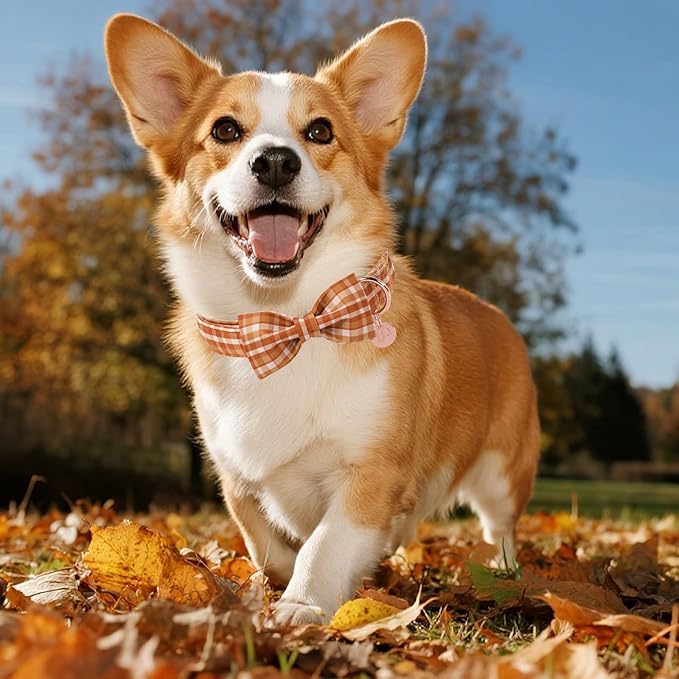 Fall Plaid Dog Collar and Bow Tie Set – Brown Orange Checkered Adjustable Collar with Maple Leaf Charm for Small Medium Large Dogs, Soft Cotton Puppy Collar with Quick Release Buckle