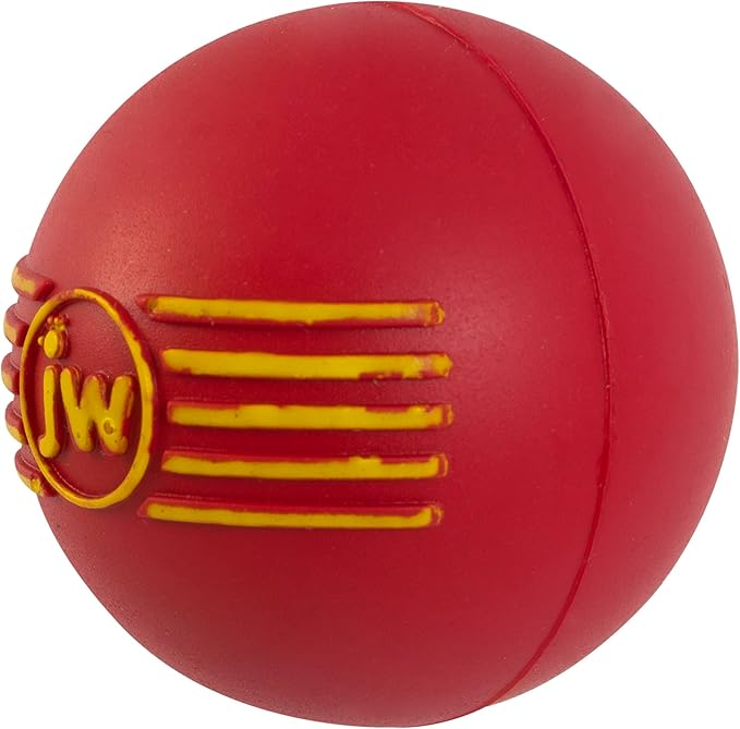 JW Squeak-ee Ball Puppy Toy