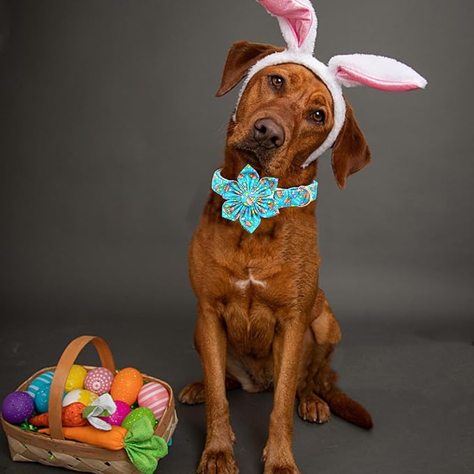Lionheart glory Easter Day Dog Collar with Flower Dog Collar for Large Dogs, Easter Egg Dog Collars Colorful Dog Collar Spring Collars Pet Collar Flowers