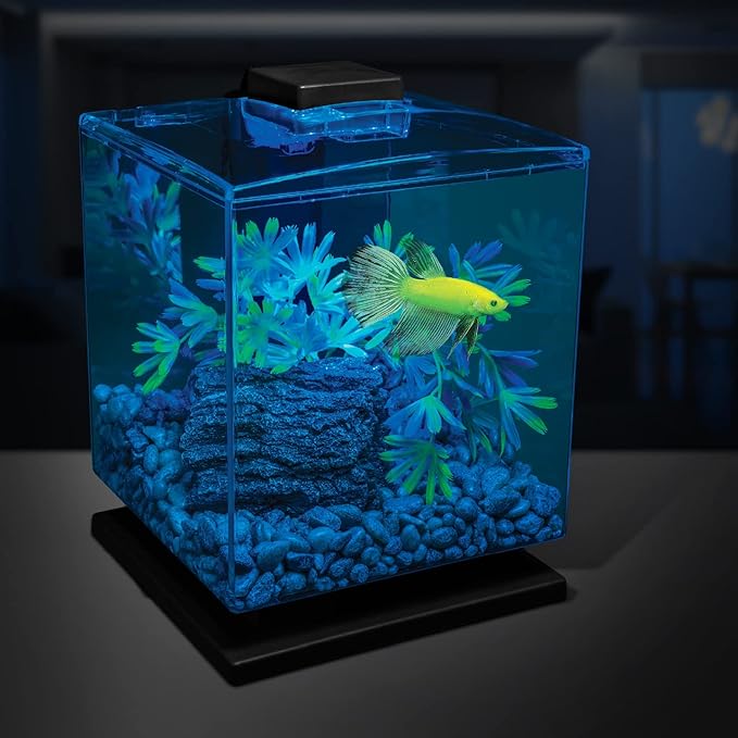 GloFish Aquarium Gravel, Pearlescent, Complements Tanks and Décor (AQ-78484), 5 Pounds (Pack of 2)