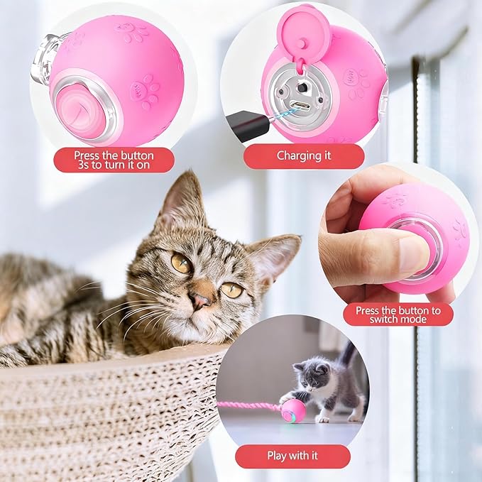 FUNNYDUCK Speed 2.0 Tail Interactive Cat Toy – Motion-Activated Rolling Ball with Chirping Sounds, USB Rechargeable Smart Ball Toy for Indoor Cats & Kittens, Enrichment & Exercise