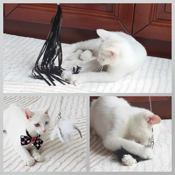 SONGWAY Cat Wand Toys for Indoor Cats - Cat Toy Set with Retractable Teaser Wand and 6 PCS Feather Toy Refills, Dragonfly Tassel Cat Toys Interactive, Black