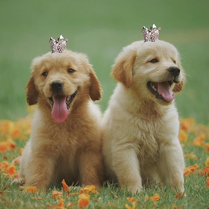1PCS Crown Tiara Headband for Cat Dogs Puppy Birds Ducks Chicken Rabbit Hamster Pets Party Birthday Grooming Hair Accessories(Silver, Elastic)