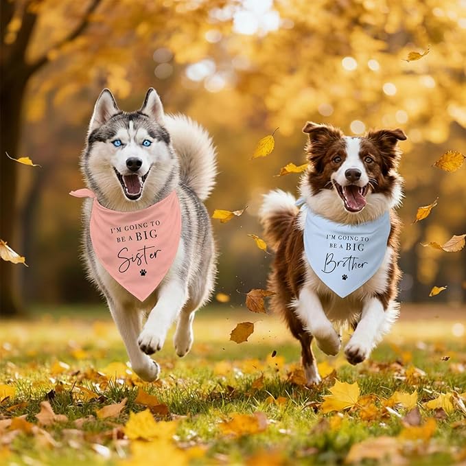 2 Pack Dog Bandanas for Pregnancy Announcement, I'm Going to Be A Big Brother Sister Cute Adjustable Pet Bandana Scarf for Small Medium Large Dogs, Gender Reveal Dogs Accessories (Blue&Pink)
