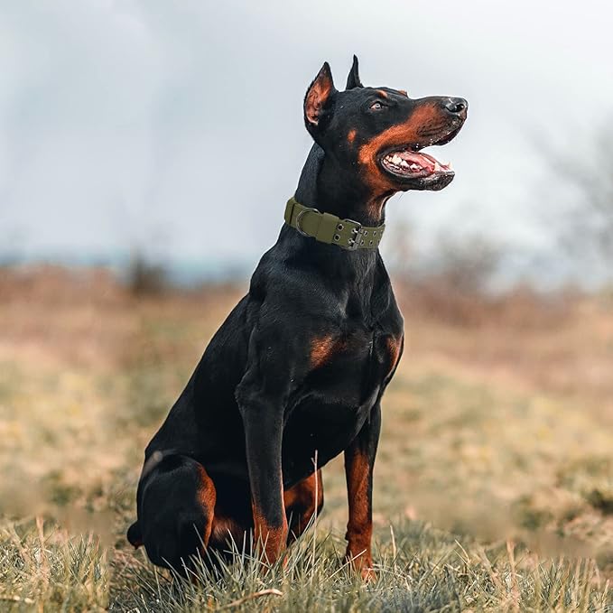 Tactical Dog Collar Military Adjustable Dog Collars Soft Nylon Training Collar with Patch Heavy Duty Metal Buckle Collars for Medium Large Dogs (Green, M)