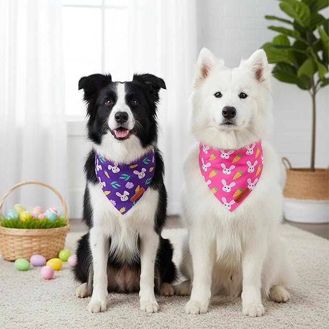 ADOGGYGO Easter Dog Bandana 2 Pack, Bunny Carrot Print Triangle Pet Scarf, Premium Fabric, Reversible Purple Pink Easter Bandana for Medium Large Dogs (Large)