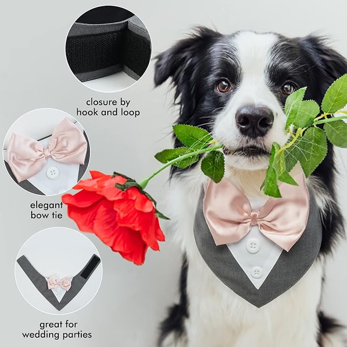 FUAMEY Dog Tuxedo for Medium Dogs,Dog Formal Suit Dogs Attire Pet Bow Tie Puppy Party Costumes Cat Tux Outfits Pets Bandana Cosplay Adjustable Bowties Wedding Birthday Valentines Grey M