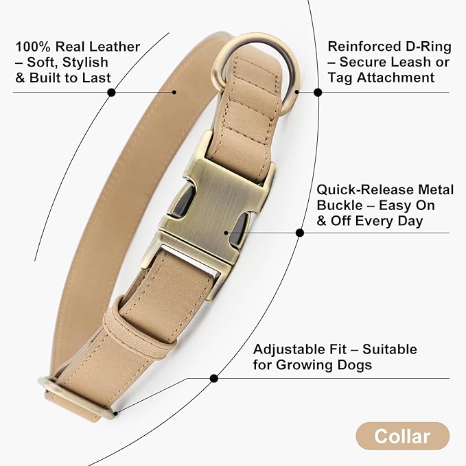 Plutus Pet Genuine Leather Dog Collar – Adjustable Pet Collar with Quick Release Metal Buckle, Soft Real Leather for Small Medium Large Dogs, Heavy Duty & Skin-Friendly (Beige, M)
