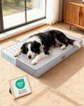 OhGeni Orthopedic Waterproof Dog Bed for Medium Large Dogs, Machine-Washable Removable Cover in Easy-Clean Fabric, High Density Foam & Easy-Carry Handle, Suitable for Crate, 35 inch (Gray)