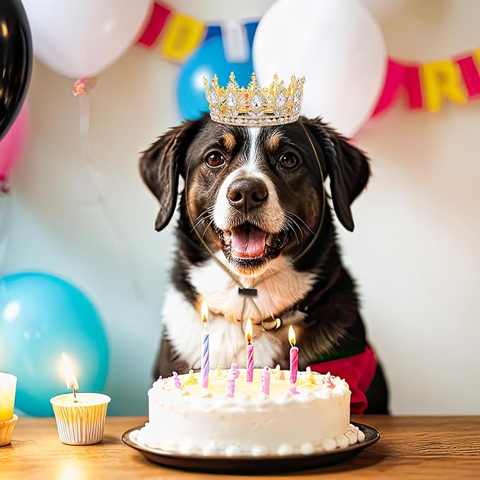 Abbylike Pet Rhinestone King Crown, Queen Crown for Birthday New Year Costume for Small Dog Cat Cosplay Party Accessories Adoption Celebration Wedding Birthday Photos Prop Costume(White,Medium)
