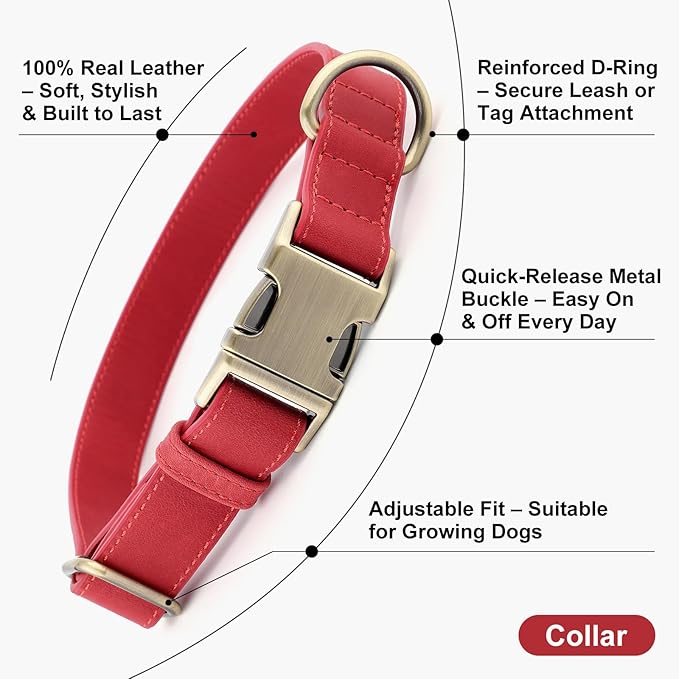 Plutus Pet Genuine Leather Dog Collar – Adjustable Pet Collar with Quick Release Metal Buckle, Soft Real Leather for Small Medium Large Dogs, Heavy Duty & Skin-Friendly (Red, S)