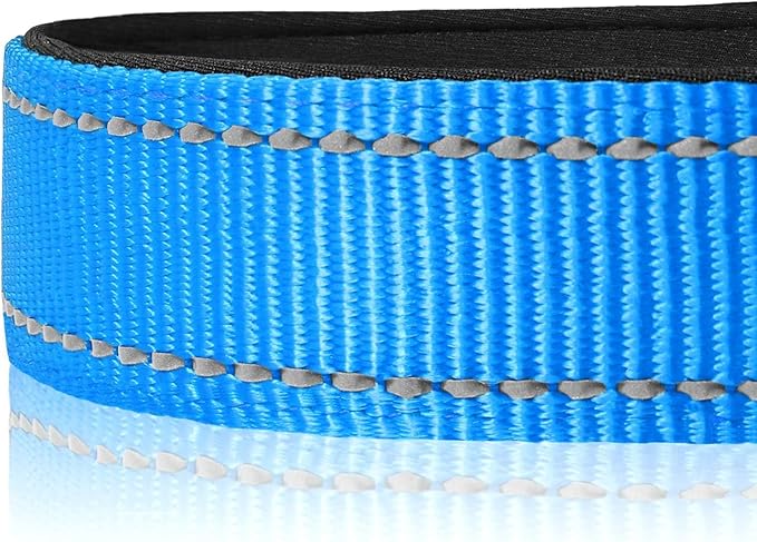 Joytale Reflective Dog Collar, Soft Neoprene Padded, Metal D-Ring, Nylon Pet Collar Adjustable for Large Dogs, Sky Blue, L