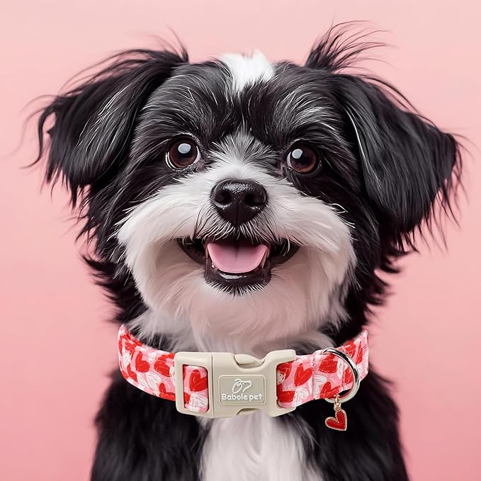 Valentines Dog Collar for Giant Large Dogs - Cute Pink Girl Dog Collar, Doodle Heart Pattern, Adjustable Valentine Dog Collars with Red Heart Charm XL