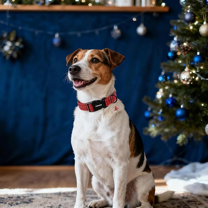 DOGWONG Christmas Plaid Dog Collar, Cute Adjustable Red Tartan Collar, Red Grid Dog Collar with Strong Plastic Buckle for Small Medium Large Dogs,M