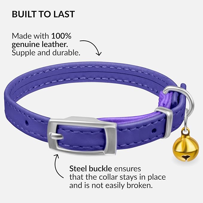 CollarDirect Leather Cat Collar with Bell - Kitten Collar, Small and Big Cat Collar for Boy Cats, Girl Cats with Safety Elastic Strap (Neck Fit 8"-11", Purple)