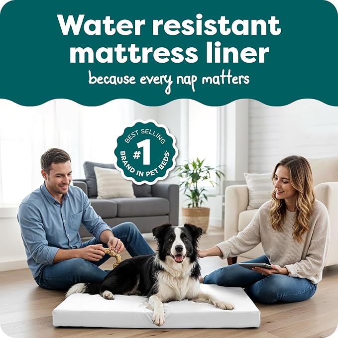 Furhaven Dog Bed Liner Water-Resistant Foam Mattress Protector Cover - White, Large