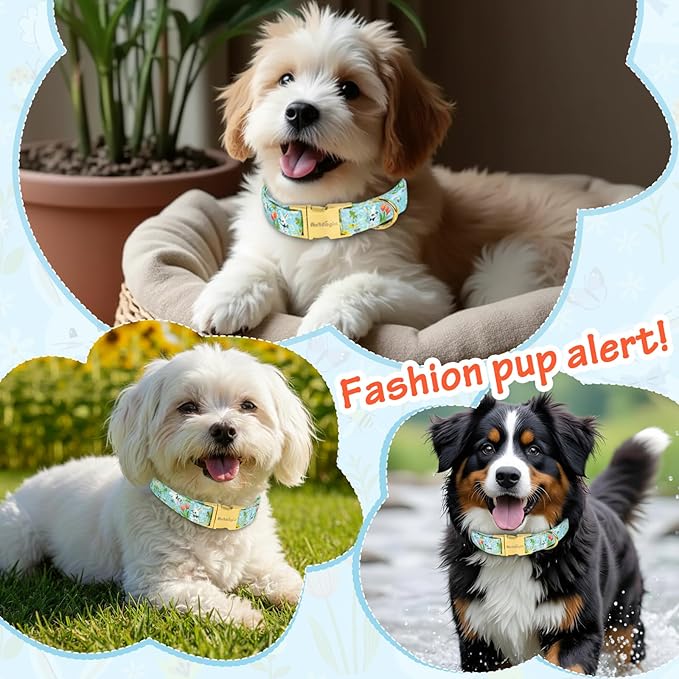 Easter Dog Collar for Extra Small Dogs, Easter & Spring Theme Small Dog Collar with Cute White Bunny Pattern, Adjustable Blue Easter Dog Collars Girl Boy Collar for Dogs -XS
