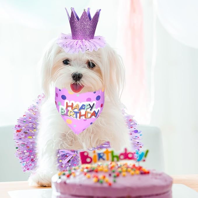 Dog Birthday Bandana with Hat and Dress Girl Set, Dog Birthday Hat Bandana Girl Birthdays Boy Girls Cake Bandanas Triangle Scarf Party Hats Dogs Bow Tie Collar, Cute Tutu Skirt Outfit for Small Dogs