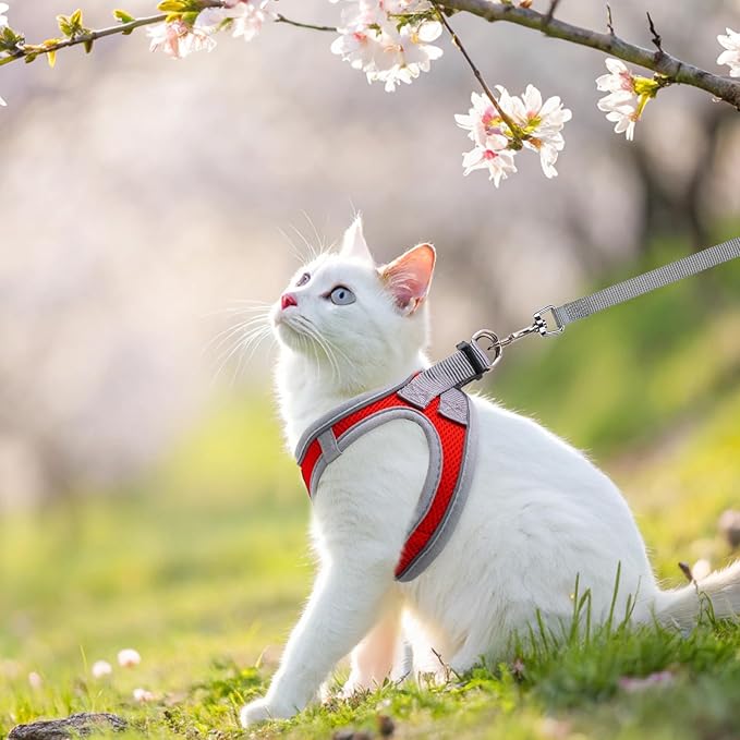 SCENEREAL Cat Harness and Leash Set Escape Proof, Adjustable Soft Air Mesh Kitten Harnesses for Girls Boys Small Medium Big Cats, Reflective Light Travel Pet Walking Vest for Puppy Rabbit, Red S