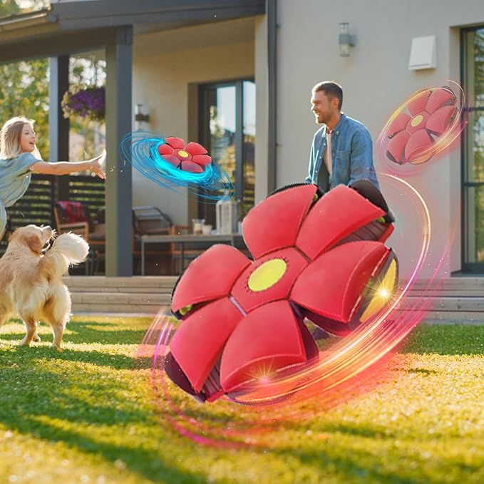 Dog Flying Disc Toy, Flying Saucer Ball for Dogs, Outdoor Games Red+Pink 2PCS