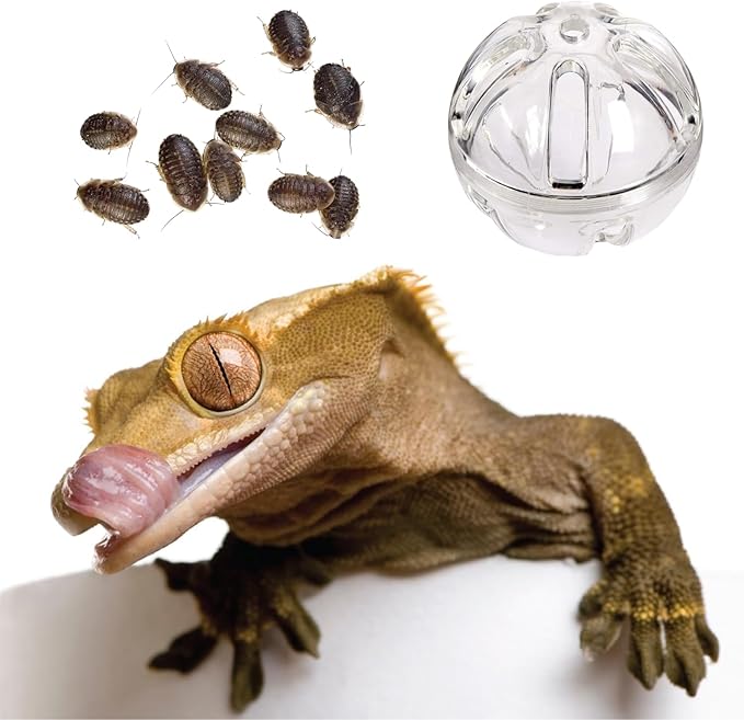 Bearded Dragon Feeder Toy Reptile Foraging Ball Lizard Enrichment Interactive Toy Reptile Terrarium Tank Decor for Lizard,Chameleon Small Animals (3.4 Inch)