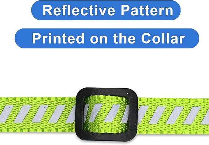 Pawtitas Personalized Green Reflective Cat Collar – Adjustable Custom Collar with Safety Buckle, Removable Bell, and Engraved Name & Phone Number for Kittens and Adult Cats