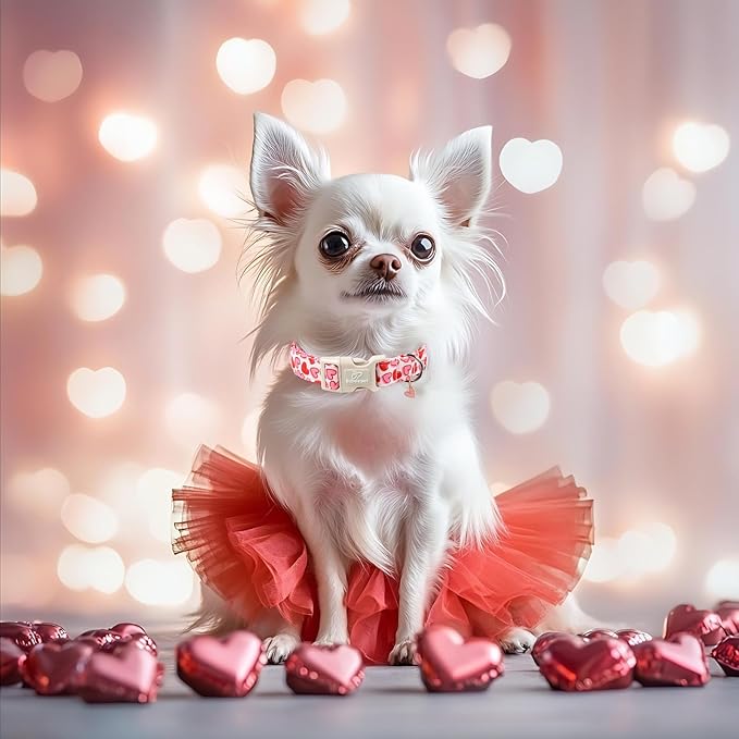 Valentines Dog Collar for Large Dogs - Pink Valentine Hearts Dog Collars, Girly Love Female Dogs Collars, Lightweight Adjustable Cute Puppy Collar with Quick-Release Buckle L
